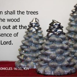 God’s Christmas Tree