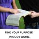 Your Purpose In Life