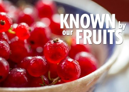 Are You A Fake-Fruit-Bearer?